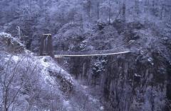  , 12 janvier 2003, Passerelle d'Holzart� (64)